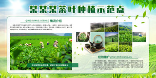 绿色清新简约茶叶种植示范点农业宣传展板宣传栏